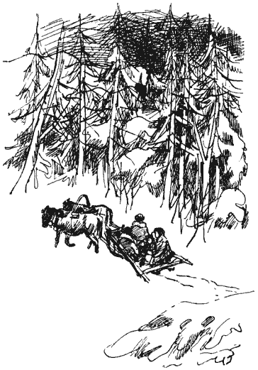 Собрание сочинений в четырех томах. Том 3 - i_005.png