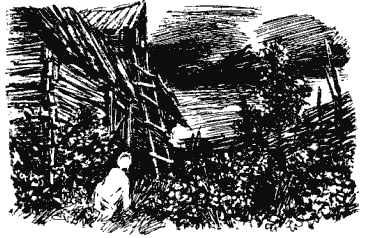 Собрание сочинений в четырех томах. Том 3 - i_011.png