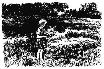 Собрание сочинений в четырех томах. Том 3 - i_015.png