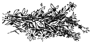 Собрание сочинений в четырех томах. Том 3 - i_016.png