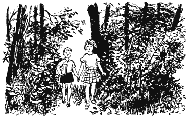 Собрание сочинений в четырех томах. Том 3 - i_017.png