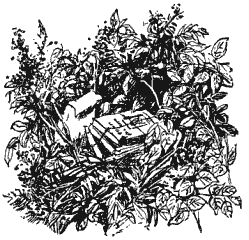 Собрание сочинений в четырех томах. Том 3 - i_018.png