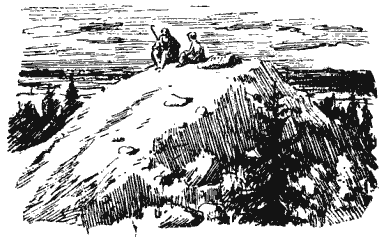 Собрание сочинений в четырех томах. Том 3 - i_026.png