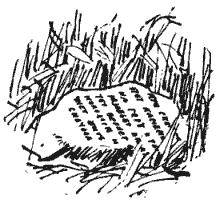 Собрание сочинений в четырех томах. Том 3 - i_027.png