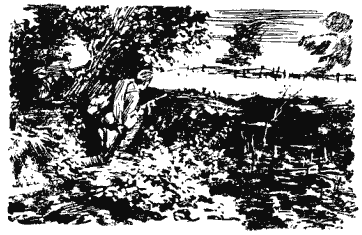 Собрание сочинений в четырех томах. Том 3 - i_031.png