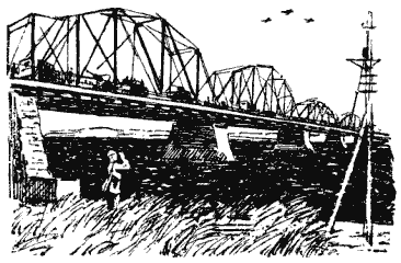 Собрание сочинений в четырех томах. Том 3 - i_035.png