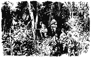 Собрание сочинений в четырех томах. Том 3 - i_045.png