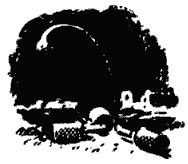 Собрание сочинений в четырех томах. Том 3 - i_046.png