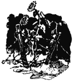 Собрание сочинений в четырех томах. Том 4 - i_019.png