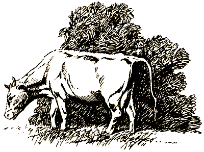 Пришельцы из космоса - i_020.png