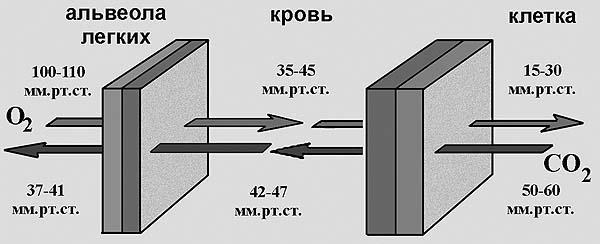 Древние боги - кто они - img_87.jpg