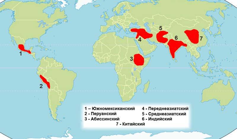 Какова ты, родина богов.. - img_1.jpg