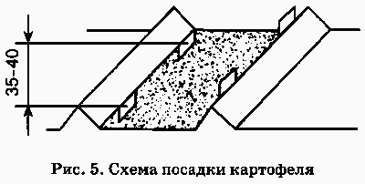 Не мешай огороду лопатой и плугом - Ris.5.png