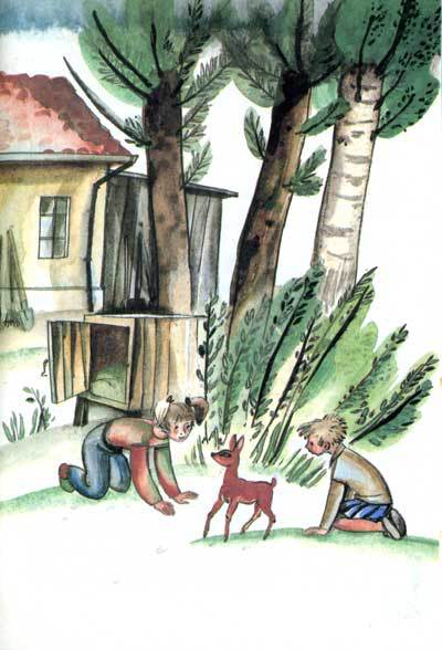 Длинные уши в траве. История косули Рыжки - i_012.jpg