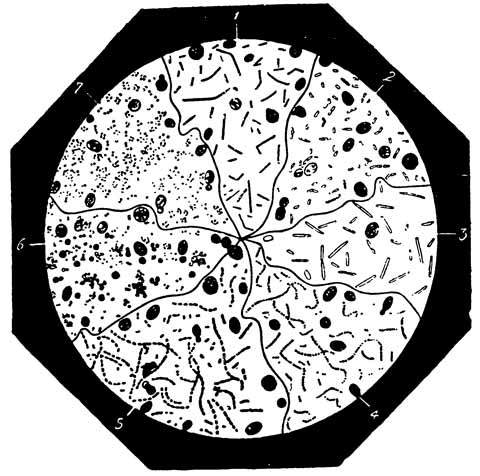 Пастер - i_007.jpg