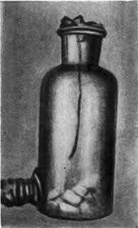 Пастер - i_017.jpg