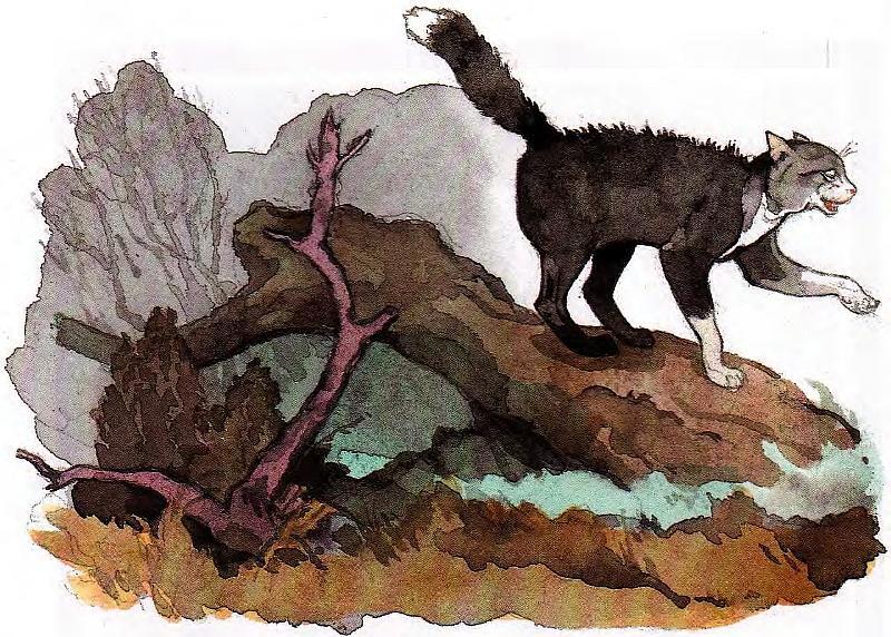 Синяя птица - pict10.jpg