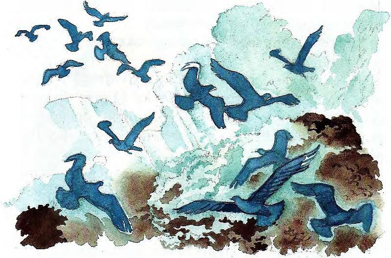 Синяя птица - pict27.jpg