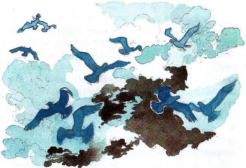 Синяя птица - pict28.jpg_0