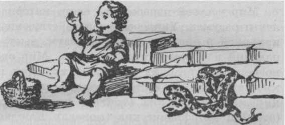 Философия - _73.jpg