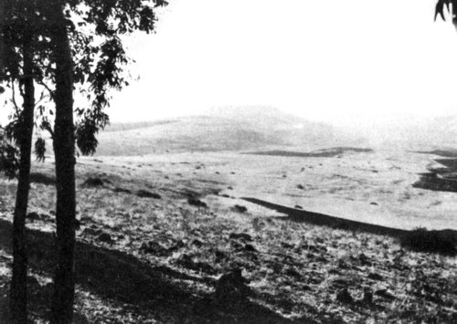 Ричард Львиное Сердце - i_024.jpg