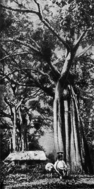 Хо Ши Мин - i_020.jpg