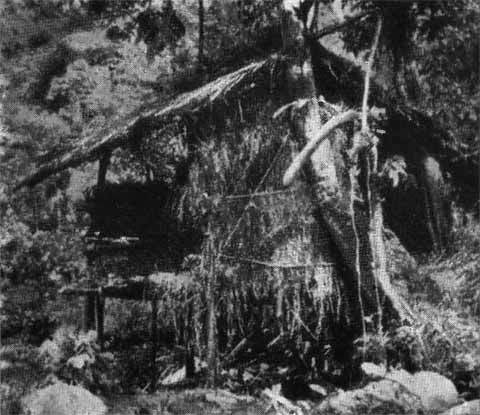 Хо Ши Мин - i_021.jpg