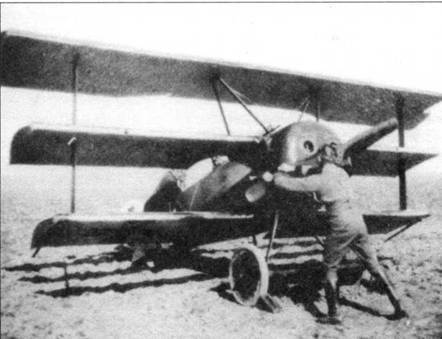 Боевое применение трипланов Fokker Dr I в Первой Мировой войне - pic_22.jpg