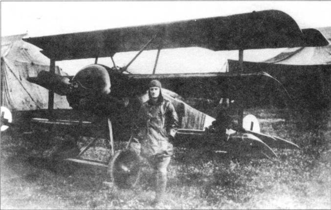 Боевое применение трипланов Fokker Dr I в Первой Мировой войне - pic_43.jpg