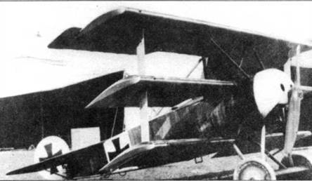 Боевое применение трипланов Fokker Dr I в Первой Мировой войне - pic_101.jpg