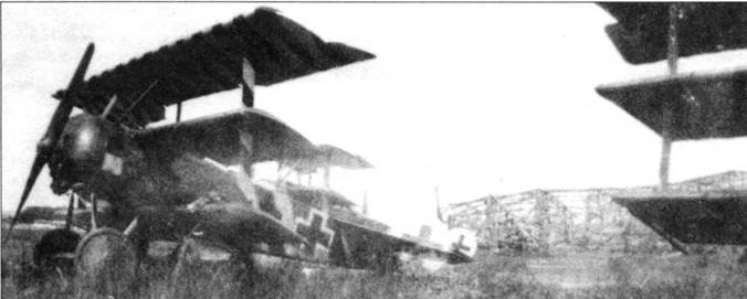 Боевое применение трипланов Fokker Dr I в Первой Мировой войне - pic_71.jpg