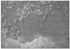 Знаки карпатської магії - _128.jpg