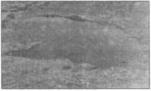 Знаки карпатської магії - _58.jpg