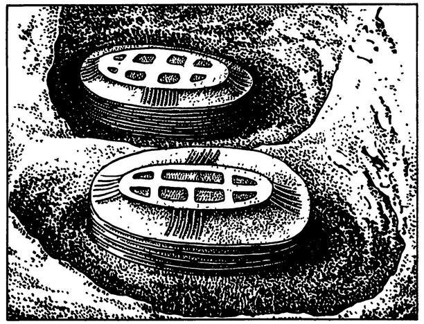 Люди города Ура - i_019.jpg