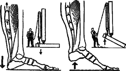 Активное долголетие (Моя система борьбы со старостью) - _10.png