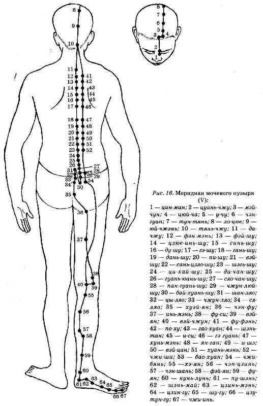 Энциклопедия целебного чая - i_019.jpg