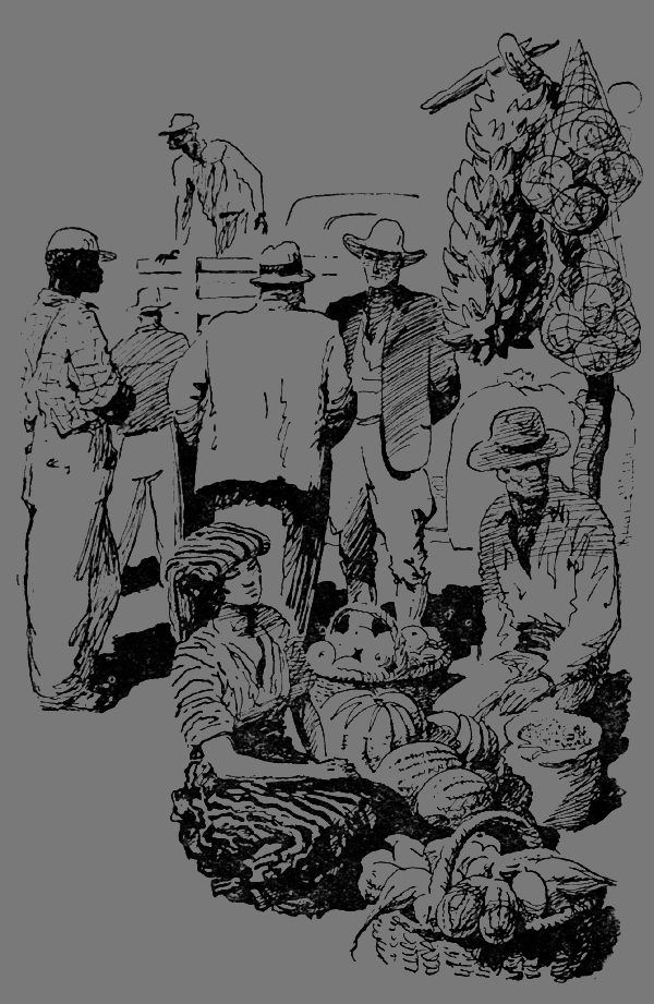 Тайной владеет пеон - _19.png_0