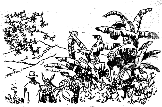 Тайной владеет пеон - _1.png_1