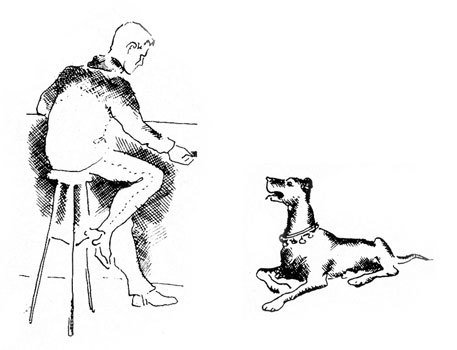 Хочу все знать 1970 - _240_Dog.jpg