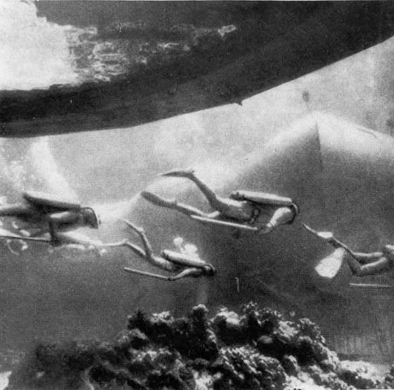 Гомо акватикус (первое изд.) - i_086.jpg