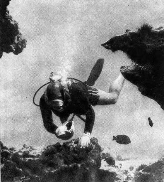 Гомо акватикус (первое изд.) - i_089.jpg