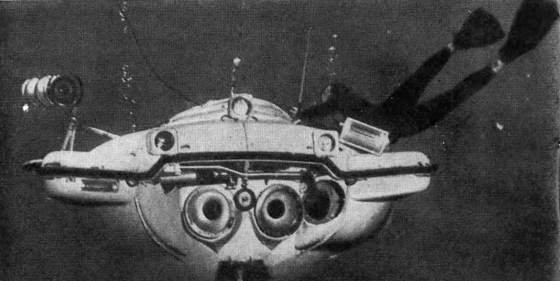 Гомо акватикус (первое изд.) - i_091.jpg