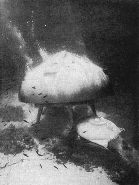 Гомо акватикус (первое изд.) - i_093.jpg