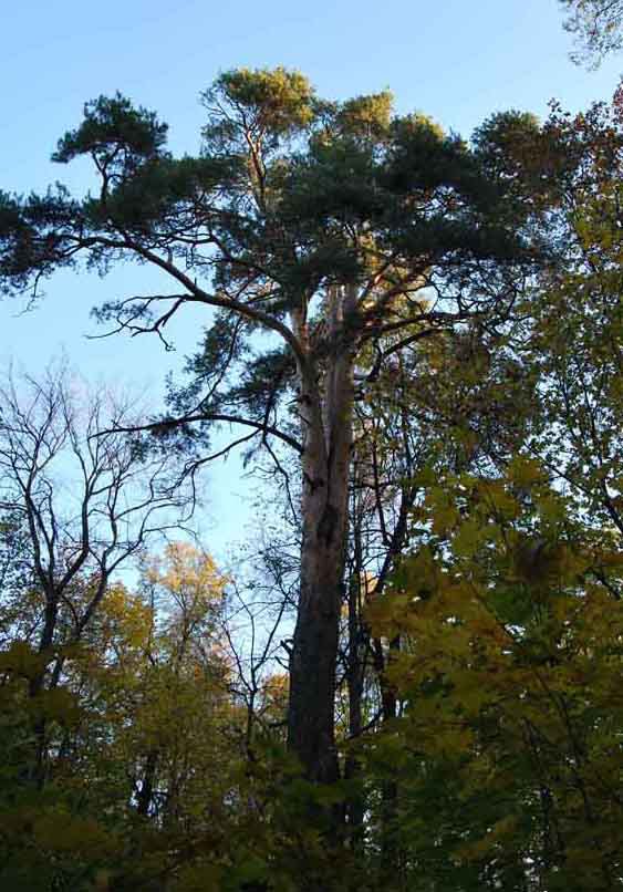 По следам шпионов Александра Дюма в столице Универсиады-2013 - i_016.jpg