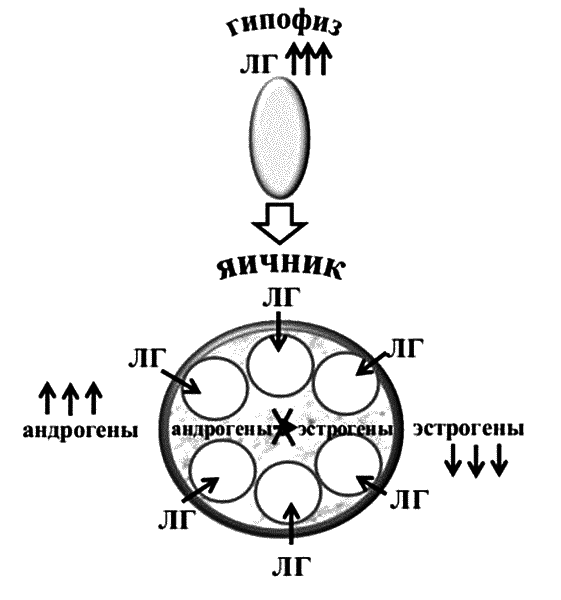 Бесплодие – не приговор! - _09.png