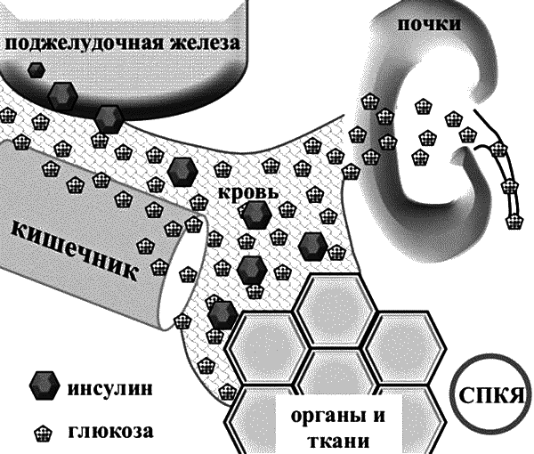 Бесплодие – не приговор! - _11.png