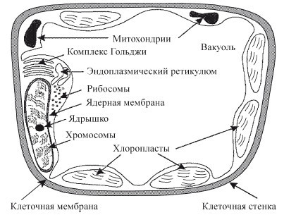 Краткий справочник необходимых знаний - i_139.jpg