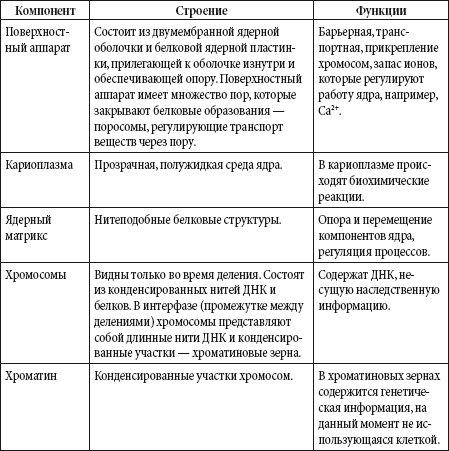 Краткий справочник необходимых знаний - i_143.png