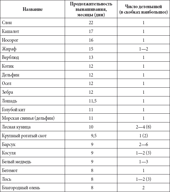 Краткий справочник необходимых знаний - i_156.png