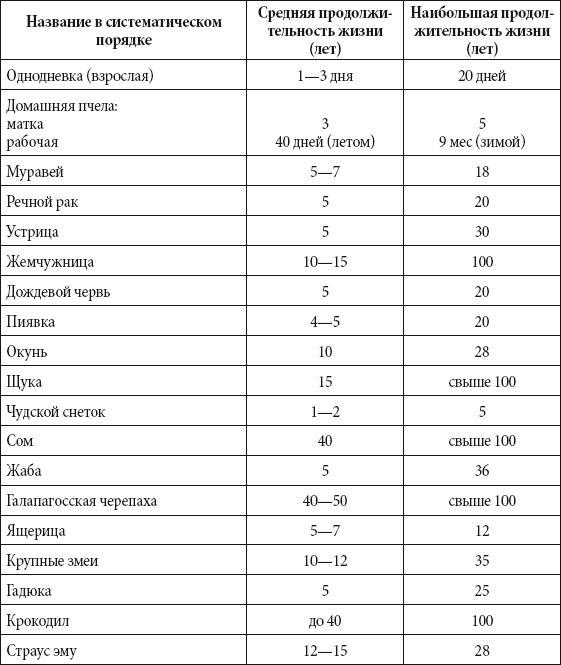 Краткий справочник необходимых знаний - i_160.png